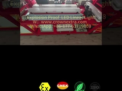 Lampe fluorescente antidéflagrante à tube unique en acier inoxydable anticorrosion T8 Liner Grp