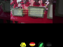 Projecteur LED antidéflagrant CRI Ra≥80 de 50 à 300 watts pour environnements dangereux