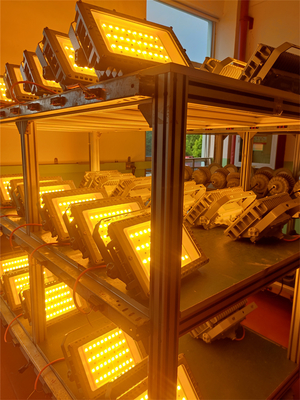 50W 100W 200W 250W Lumière à LED résistante aux explosions Certifié ATEX IECEx RoHS CNEX ISO9001