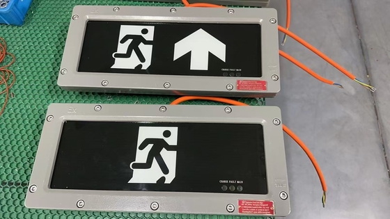Zone 1 Lumière d'urgence en aluminium avec CRI Ra≥70 et temps d'urgence prolongé de 90 minutes