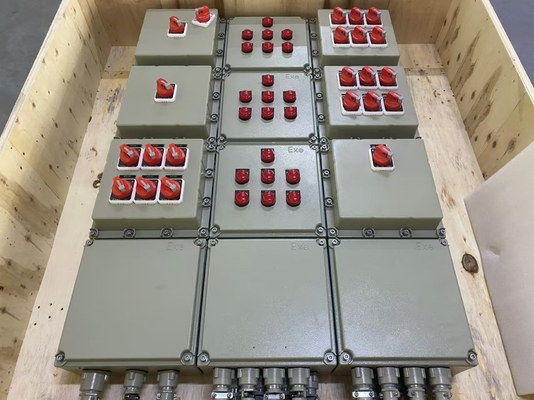 Panneau anti-explosion de 2 mm avec protection IP54/IP65/IP66 et construction en acier au carbone / aluminium