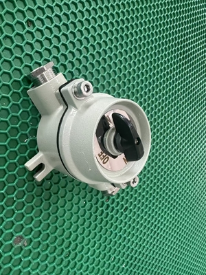 2 pôles de câble d'entrée de commutateur anti-explosion G3/4'' pour les installations de stockage de produits chimiques