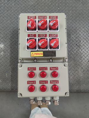 Panneaux de commande à l'épreuve des flammes à l'épreuve des murs à tension nominale personnalisable ATEX CNEX Certification ISO9001 pour la solution marine de gaz pétrolier