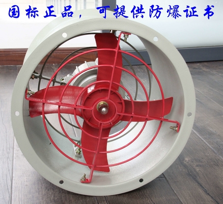Explosion Proof Exhaust Fan for Industrial Explosion-Proof Grade II 2G Ex Db IIC T6 Gb II 2D Ex Tb IIIC T80°C Db