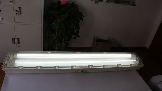 Tube fluorescent antidéflagrant – Éclairage antidéflagrant T5/T8, Luminaire pour zones dangereuses IP66