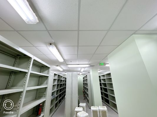 Lampe fluorescente antidéflagrante avec code d'état 403 Serveur Openresty pour une illumination sûre et durable