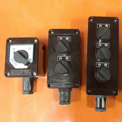 Disjoncteur isolateur antidéflagrant Équipement antidéflagrant offrant une entrée de câble G12 Protection IP65 WF1 WF2 pour la protection contre les risques