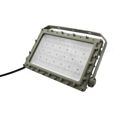 OEM Lumière LED résistante aux explosions CRI Ra80 IP66 Protection WF2 Conçue pour les environnements dangereux Éclairage industriel