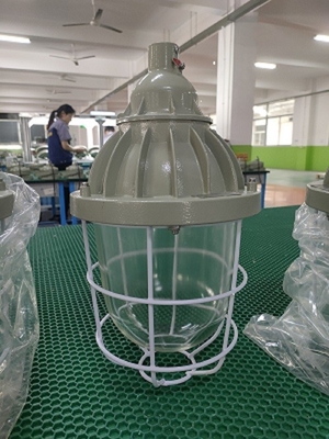 Ouverture IP55 rotatoire antidéflagrante de lampes anti-déflagrantes d'ATEX