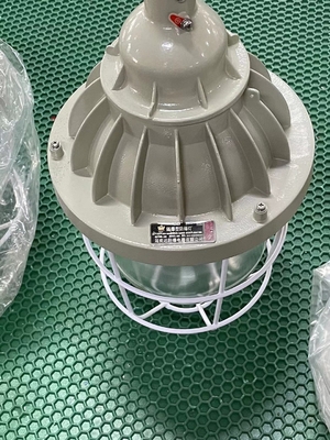 200W 400W Haute puissance ATEX certifié HID à l'épreuve de l'explosion ampoule de montage plafond / pendentif / mur consommation d'énergie 150-400 Watts