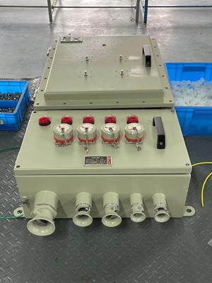 IP54/IP65/IP66 Niveau de protection Panneaux de commande ignifuges pour les zones dangereuses extérieures
