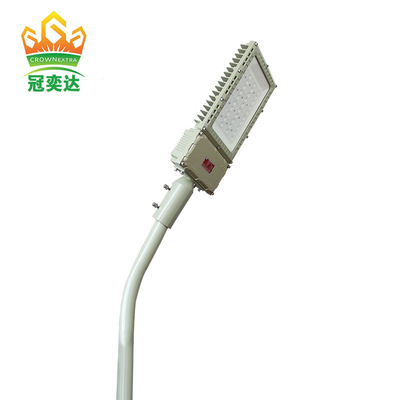 Lumière à haute efficacité 130lm/w IP66 et niveau de protection WF2 anti-proof