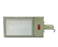 50W Ex Proof LED Flood Light avec luminosité et différentes options de montage
