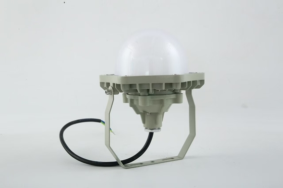Lumière haute baie résistante à l'explosion 100W AC220V 50/60Hz IP66 avec 70±2CRI Nouveau design Les produits les plus vendus Prix atelier