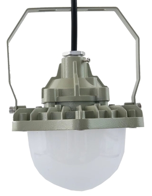 Lumière haute baie résistante à l'explosion 100W AC220V 50/60Hz IP66 avec 70±2CRI Nouveau design Les produits les plus vendus Prix atelier