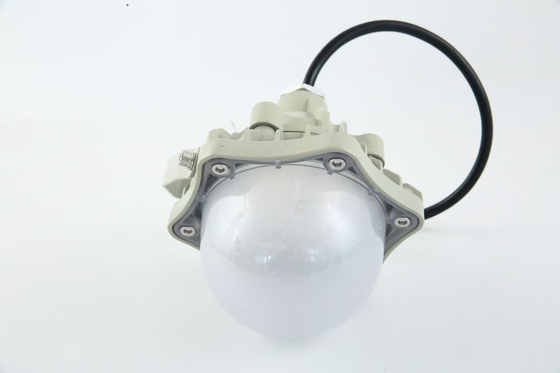 Lumière haute baie résistante à l'explosion 100W AC220V 50/60Hz IP66 avec 70±2CRI Nouveau design Les produits les plus vendus Prix atelier