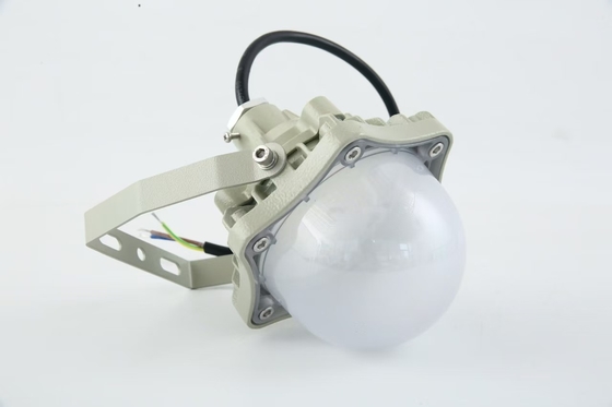 Lumière haute baie résistante à l'explosion 100W AC220V 50/60Hz IP66 avec 70±2CRI Nouveau design Les produits les plus vendus Prix atelier