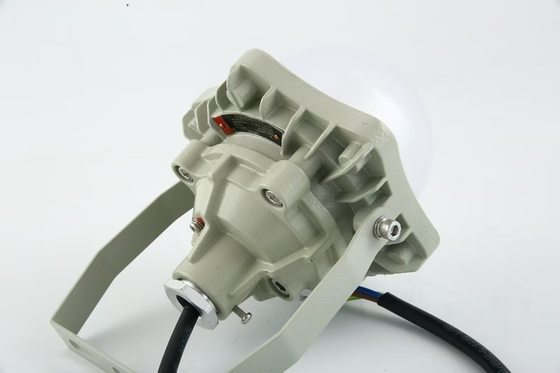 Lumière haute baie résistante à l'explosion 100W AC220V 50/60Hz IP66 avec 70±2CRI Nouveau design Les produits les plus vendus Prix atelier