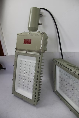 100W 130lm/W Explosion Proof Flood Lights extérieur imperméable à l'eau haute rigidité
