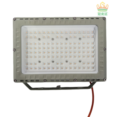L'éclairage extérieur LED à LED IP66 couleur personnalisée 100-277V Marché 100W