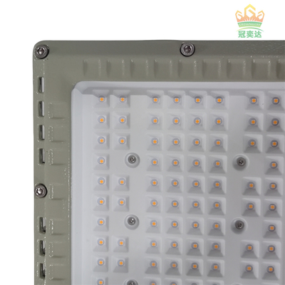 L'éclairage extérieur LED à LED IP66 couleur personnalisée 100-277V Marché 100W