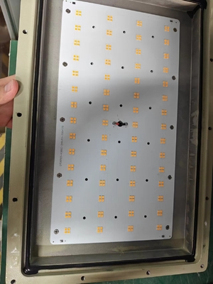 5000K-5700K éclairage à LED résistant à l'explosion avec support de montage CRI élevé