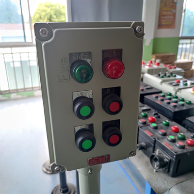 Panneau de commande de boîte de commande pétrochimique avec ATEX CNEX IP66 WF2 Protection AC110/220/380/460V