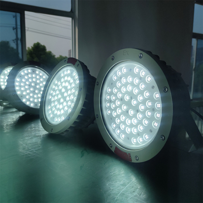 Lampes à LED ignifuges IP66 pour les environnements difficiles