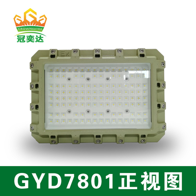 Lumière à LED anti-explosion ATEX avec durée de vie de 50000 heures Protection IP66 WF2 Certifiée IECEx