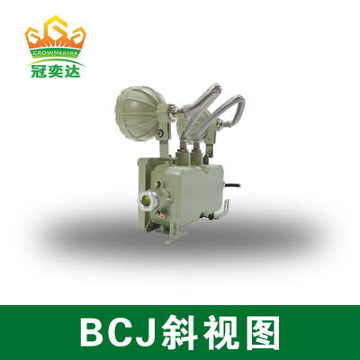 Lampe de secours antidéflagrante BCJ2 21 IRC Ra≥70 Durable et économe en énergie pour l'industrie