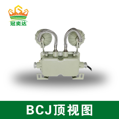 Lampe de secours antidéflagrante BCJ2 21 IRC Ra≥70 Durable et économe en énergie pour l'industrie