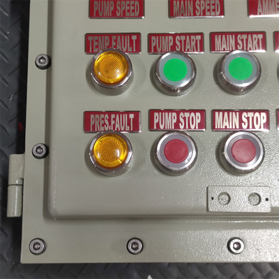 Rating ATEX CNEX Ex d boîtier à panneau ignifuge IP66 WF2 pour zone dangereuse avec entrée de câble personnalisée 295Vac