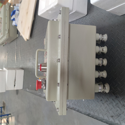 Boîtes de jonction ignifuges certifiées ATEX RoHS large OEM disponible AC220/380V