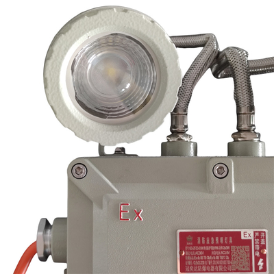 Zone dangereuse 1 Lampes industrielles résistantes à l'explosion IP66 WF2 5 Watt 90-180 min