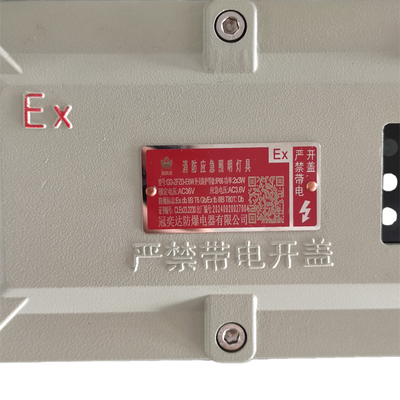 Éclairage d'urgence à résistance à l'explosion certifié ATEX Éclairage de sécurité LED compact pour environnements industriels dangereux