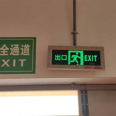 Panneau de sortie LED avec autonomie de 180 minutes et indice de protection IP66 pour environnements dangereux, avec fonction d'éclairage de secours