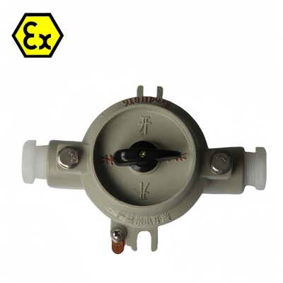 380/220VAC 10-60A Commutateur résistant à l'explosion