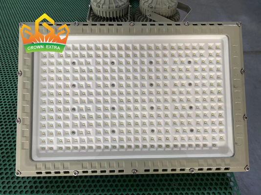Feu de projecteur LED en aluminium intrinsèquement sûr avec le pilote MEANWELL