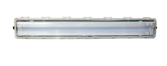 IP66 WF2 Zone 1 2 21 22 Protection à l'épreuve des explosions Tube fluorescent à haut niveau de protection et protection IP66 WF2