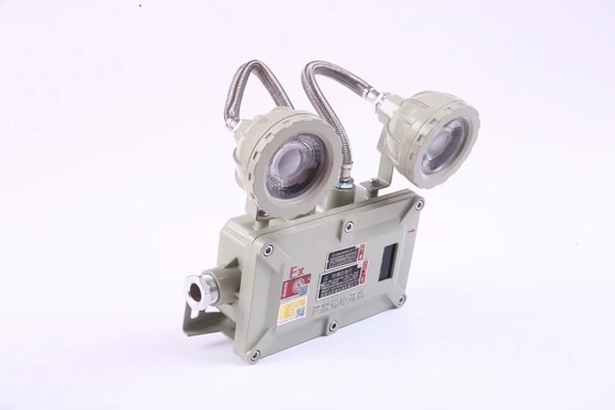 Éclairage d'urgence ignifuge industriel de 2*3 Watt 220VAC 24/36VDC