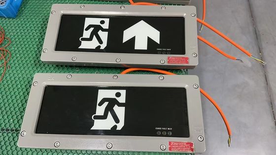 Lumière de sortie ATEX sans maintenance Zone 21 Zone 22 Efficace Sécurité intrinsèque pour matériaux inflammables