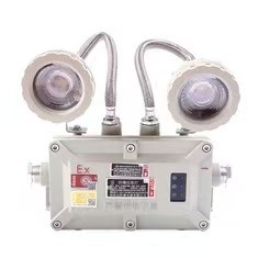 Éclairage d'urgence anti-explosion 2*3Watt LED 220VAC 24/36VDC Pour la zone 1 2