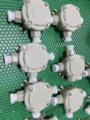 Boîte de jonction sûre durable et explosive pour l'entrée de câbles G1/2 dans les zones dangereuses