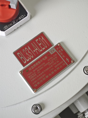 Énergie - Station de contrôle antidéflagrante ATEX Coffrets de commande électriques antidéflagrants 220/380Vac G1/2" G3/4" G1 G1.1/4" G1.1/2" G2