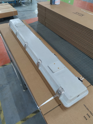 2*36W lumière fluorescente résistante aux explosions IP66 WF2 Niveau de protection IECEx homologué pour la zone 1 2 Zone 21 22 Environnement dangereux
