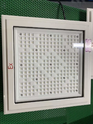 Lumière à LED résistant à l'explosion avec lampe à perles CREE et catégorie 50-240Watt