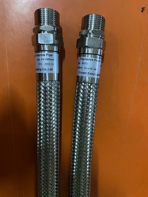 Une conduite à l'épreuve de l'explosion certifiée IP66 WF2. Protection IP66 WF2.