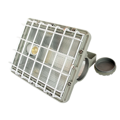 Protection IP66 WF2 présentée dans un projecteur LED intrinsèquement sûr avec des perles de lampe CREE