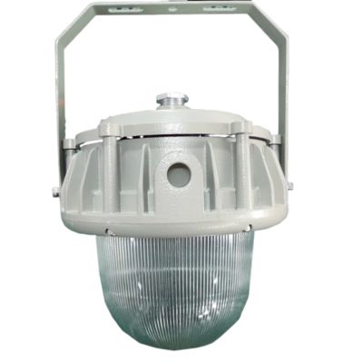 Luminaires LED antidéflagrants pour grande hauteur, sans entretien, certifiés IECEx, disponibles avec couvercles plats/dômes personnalisables