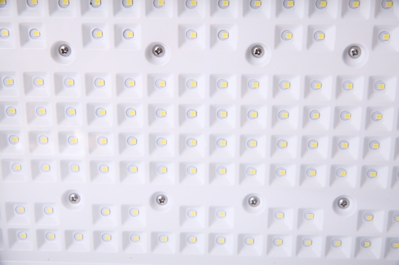 Projecteur LED antidéflagrant personnalisable 50–240W | Puces CREE | Certifié ATEX pour zones dangereuses